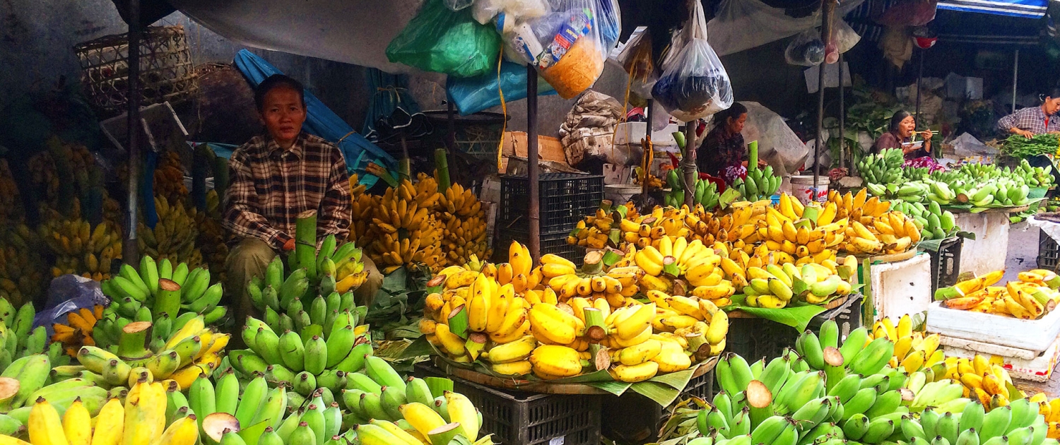 Viaggiare in solitaria