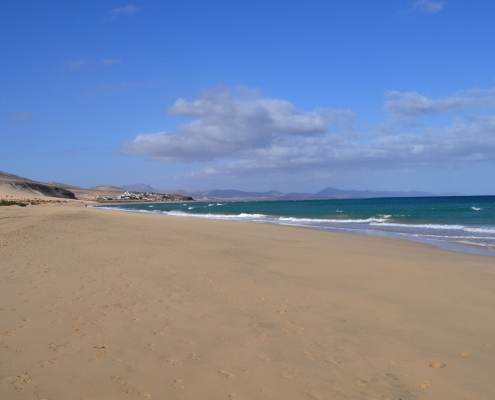 Lanzarote o Fuertaventura?