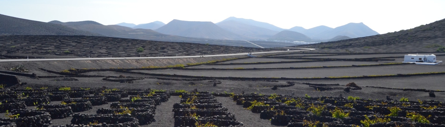 Lanzarote o Fuertaventura?
