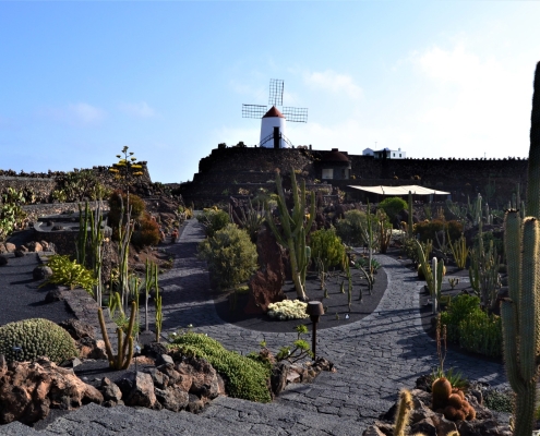 Lanzarote o Fuertaventura?