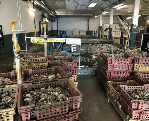 Normandia e Bretagna